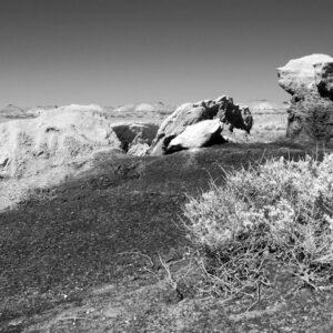 Bisti Wilderness #106 festured