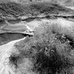 Bisti Wilderness #122