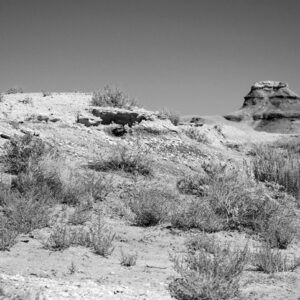 Bisti