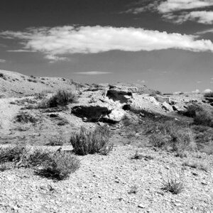 Bisti Wilderness featured