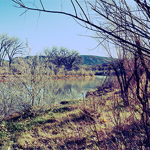 Photography