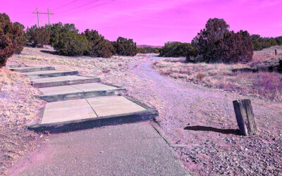 Shadowlands Blog Back on Track