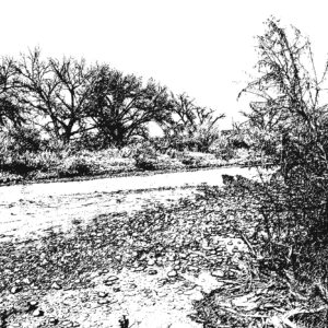 Rio Chama, Abiquiu NM, Digital Ink Drawing