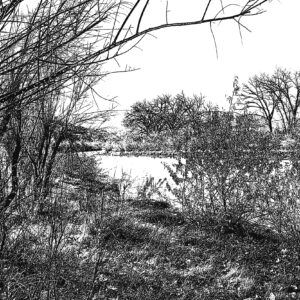Rio-Chama-Abiquiu-bw-ink-drawing--DSC_4825