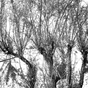 Rio-Chama-Abiquiu-bw-ink-drawing-DSC_4840