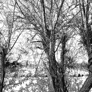 Rio-Chama=Abiquiu-ink-drawing