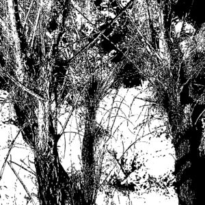 Rio-Chama-Abiquiu-ink-drawing